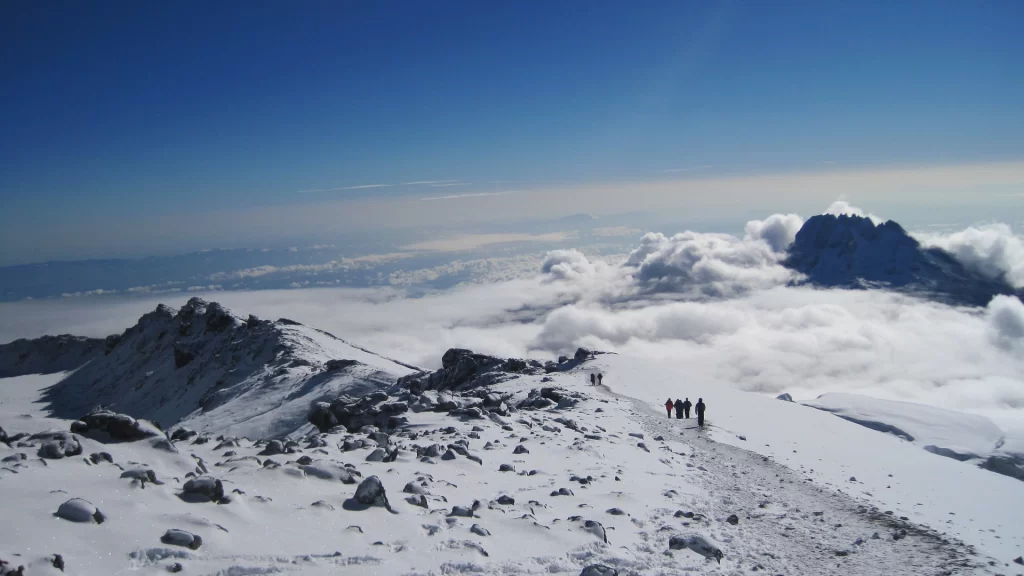 Kilimanjaro Tours
